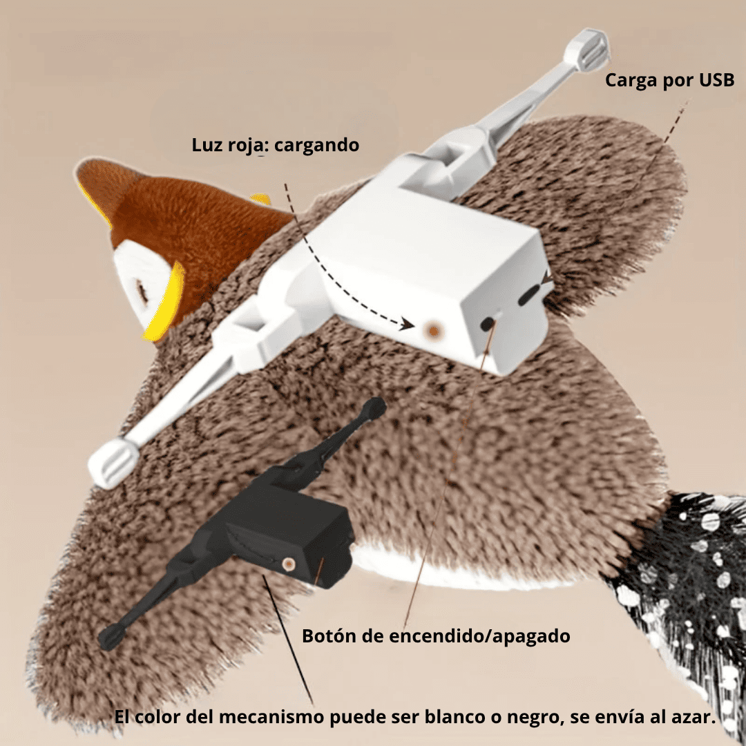 PAJARITO INTERACTIVO