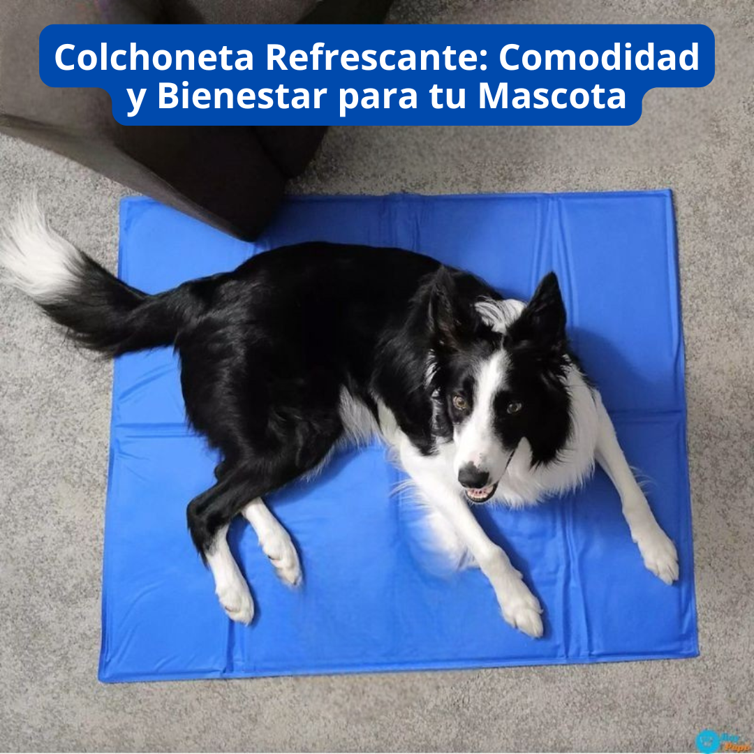 COLCHONETA REFRESCANTE - COOL MAT